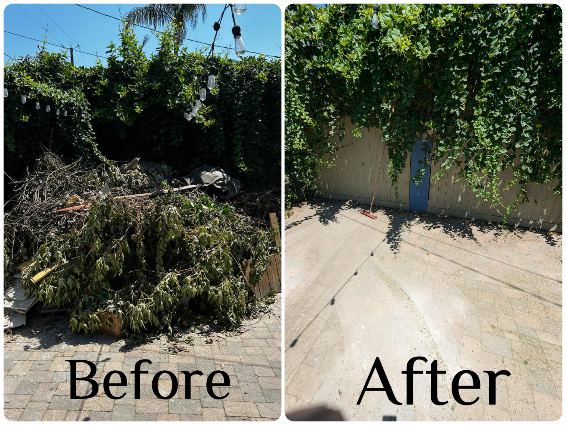 Before and after brush removal by Karrion Hauling